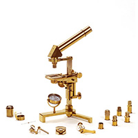 Microscopio acromatico Amici per il Dr. Holdt 1862