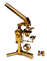 Microscopio acromatico 1857 per Pavia